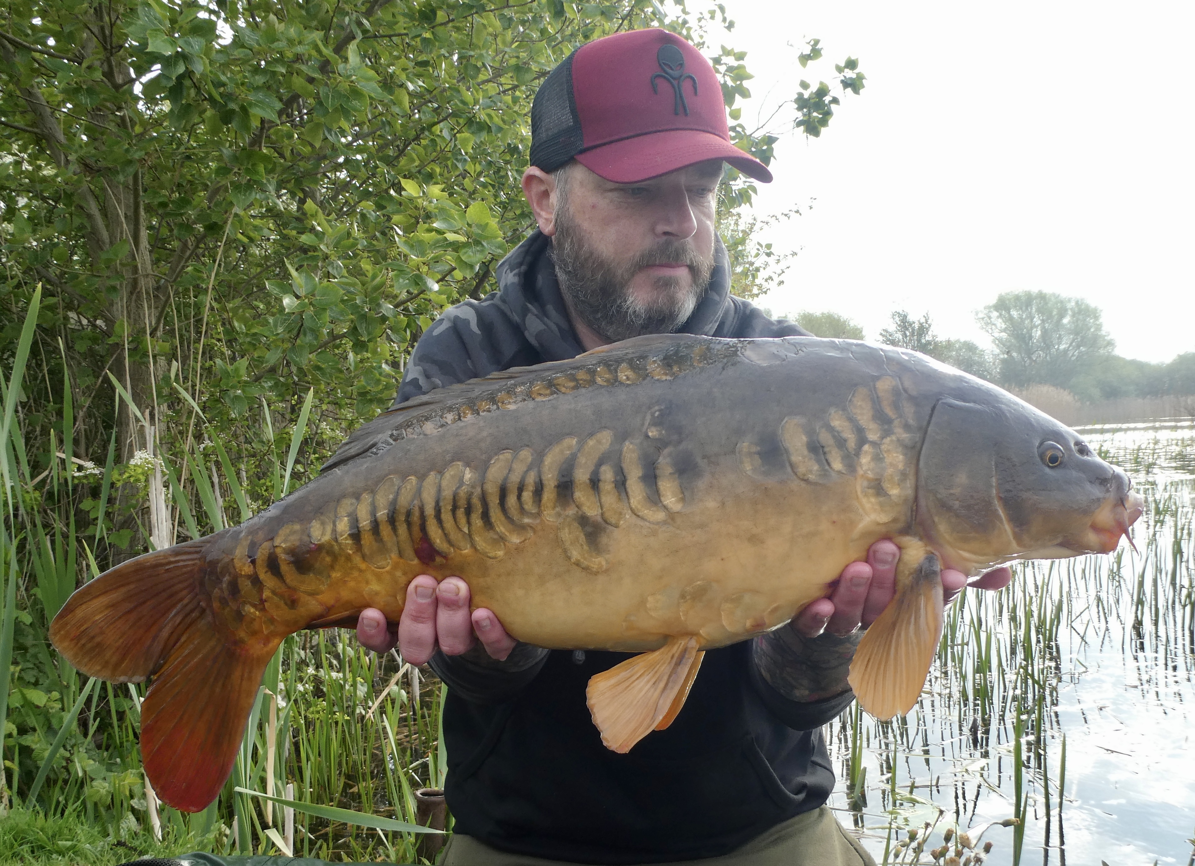 Mid double | Total Carp